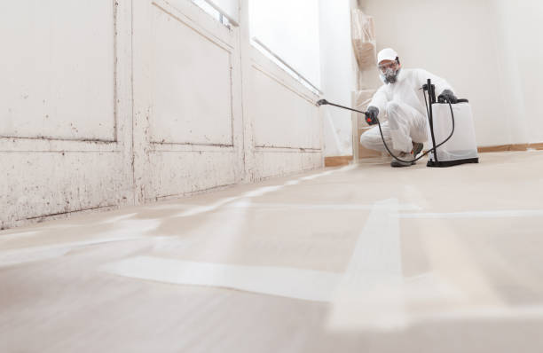 24/7 Emergency Mold Removal experts in Skillman, NJ